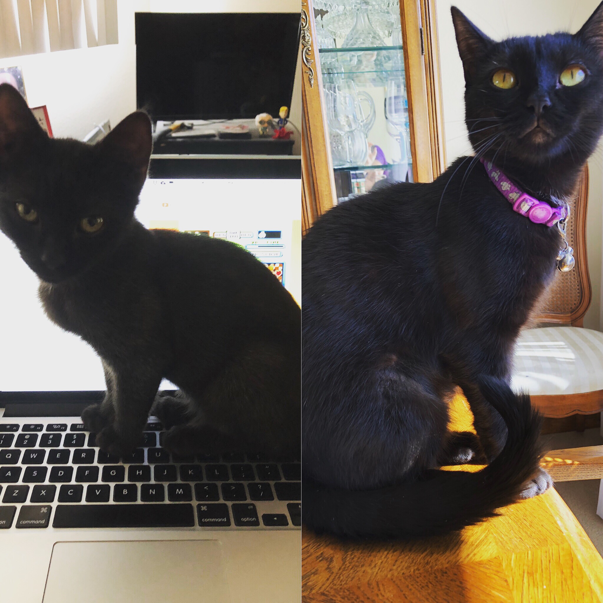 5A6B48DB-7E8A-4F6F-A248-B33D1223BA70