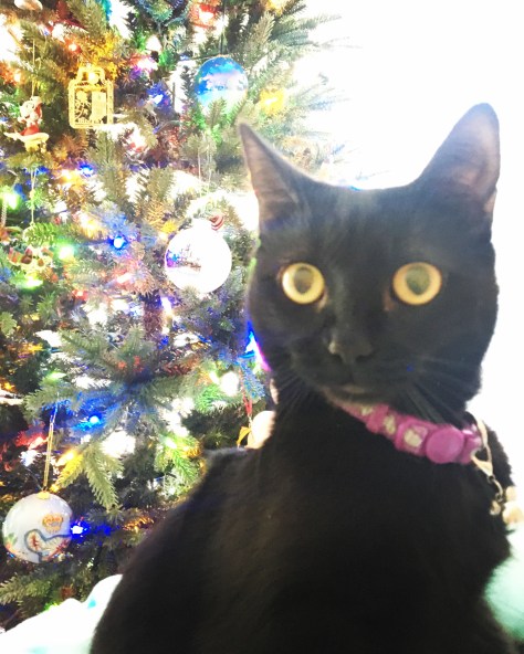 9E049283-64F1-4369-8BC3-FDEC1E19354D